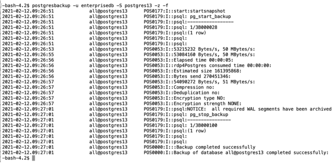 Instance-Level Backup